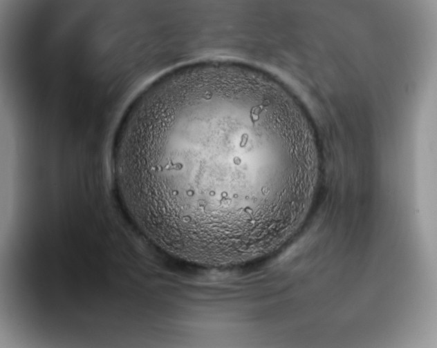 X0000092211271200709141020