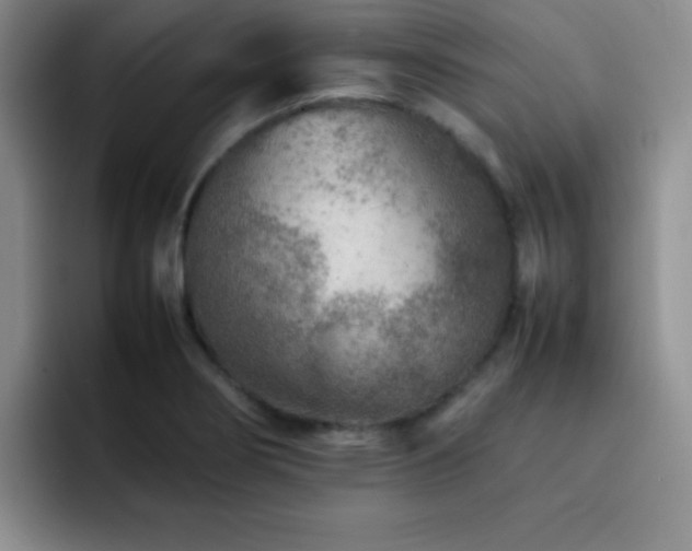 X0000092211274200709141019