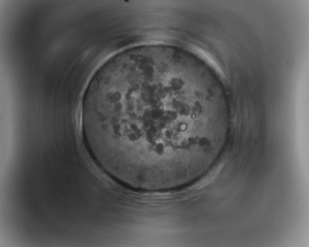 X0000092211275200709141019