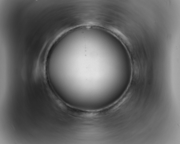 X0000092211278200709141019