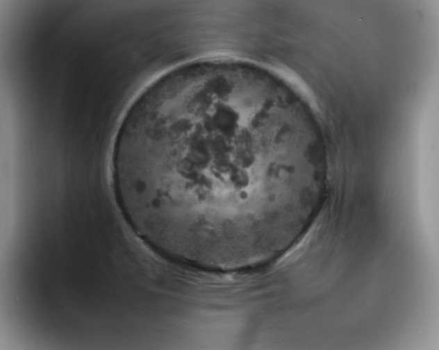 X0000092211279200709141019