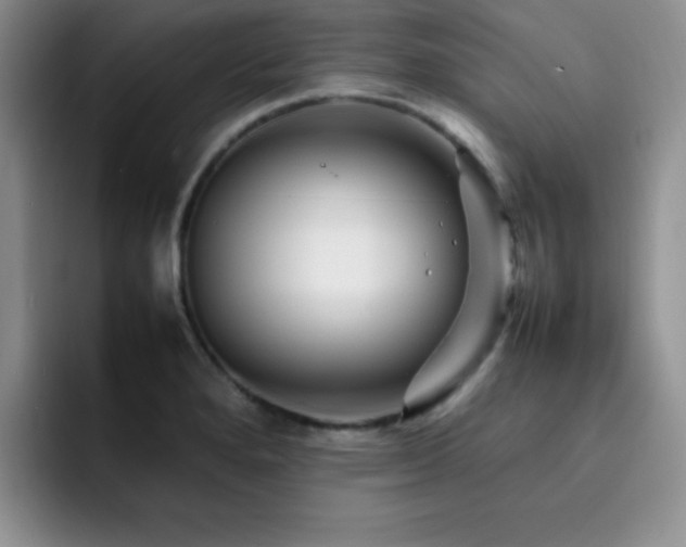 X0000092211280200709141019