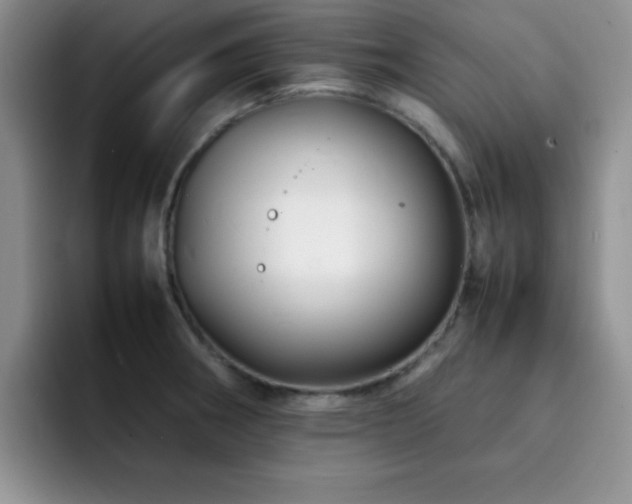 X0000092211282200709141019