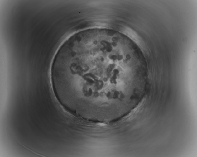 X0000092211283200709141019