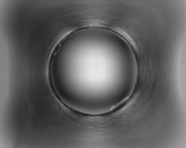 X0000092211285200709141019