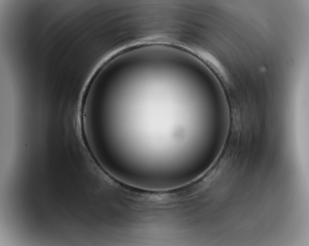 X0000092211288200709141019