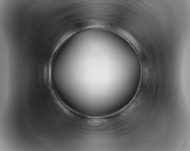 X0000092211290200709141019
