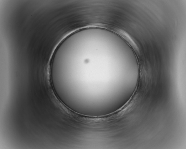 X0000092211292200709141019