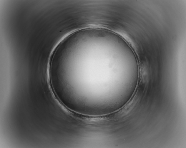 X0000092211294200709141019