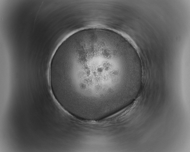 X0000092211295200709141019