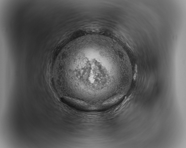 X0000092211297200709141019