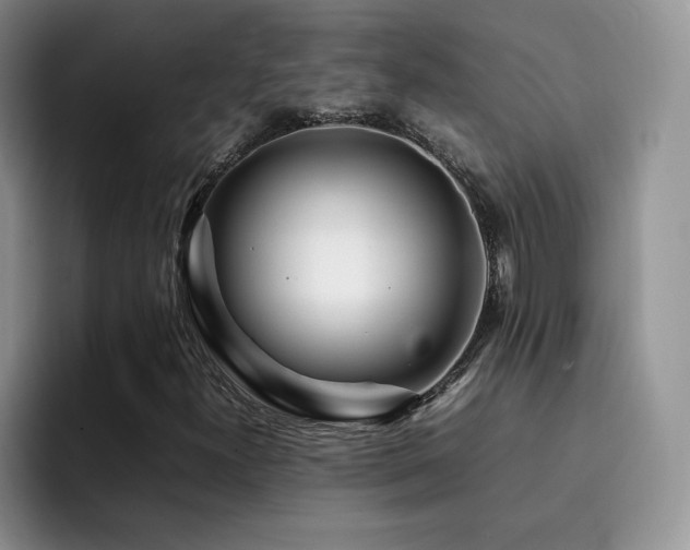 X0000092211300200709141019