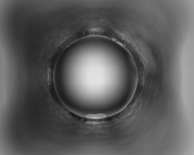X0000092211301200709141019