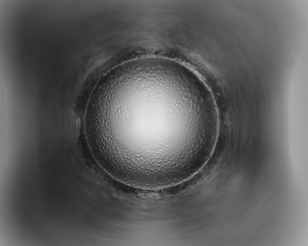 X0000092211302200709141019