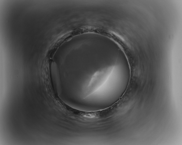 X0000092211303200709141019