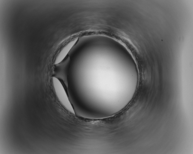 X0000092211304200709141019