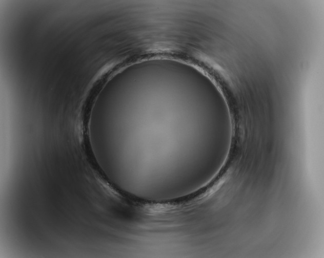 X0000092211306200709141019