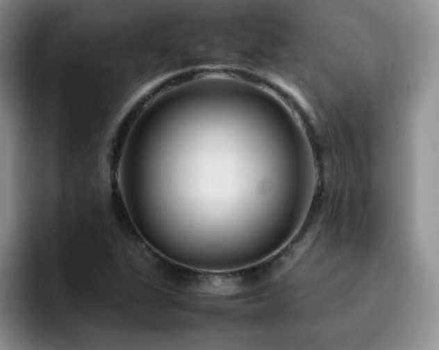 X0000092211311200709141019
