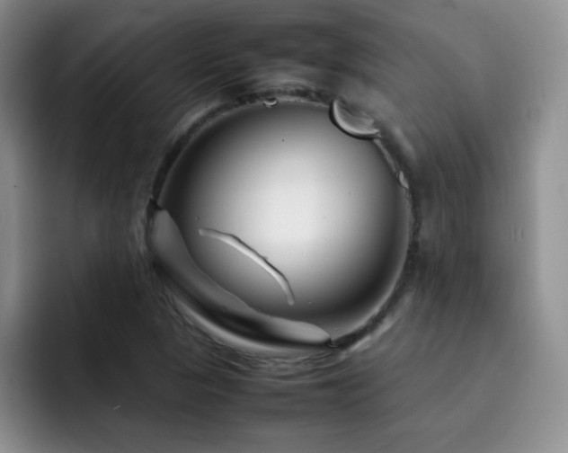 X0000092211313200709141019