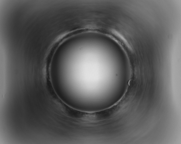 X0000092211315200709141019