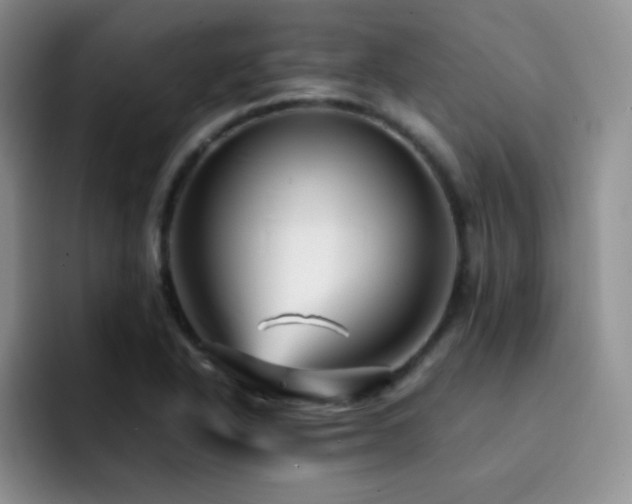 X0000092211318200709141019
