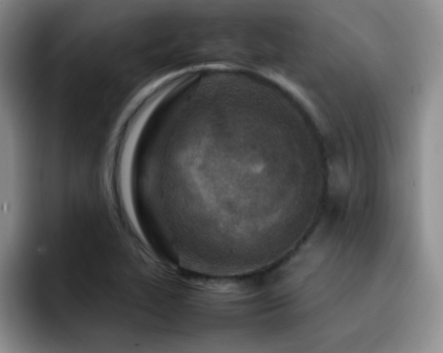 X0000092211319200709141019
