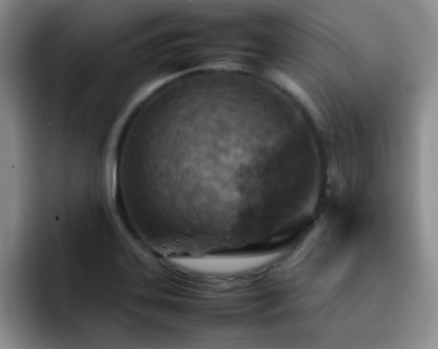 X0000092211323200709141019