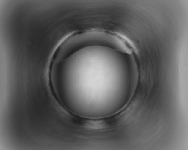 X0000092211325200709141019