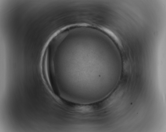 X0000092211327200709141019
