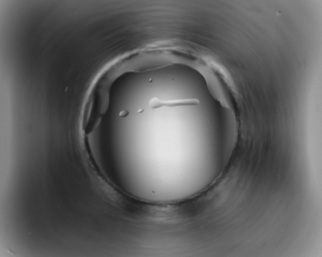 X0000092211328200709141019