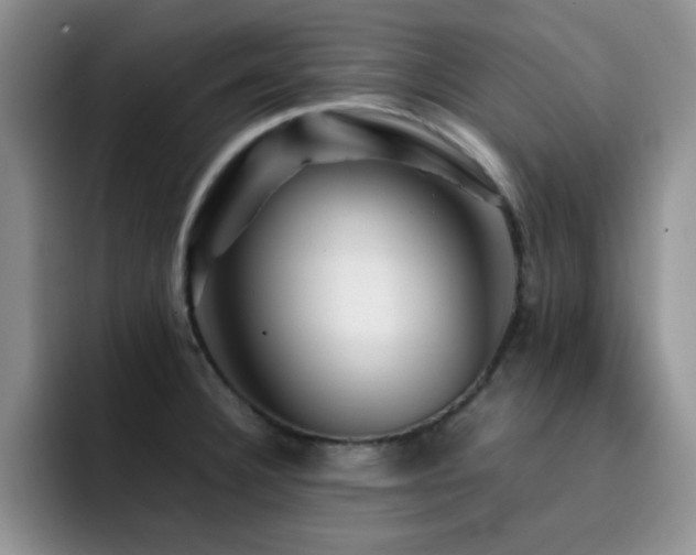 X0000092211332200709141019