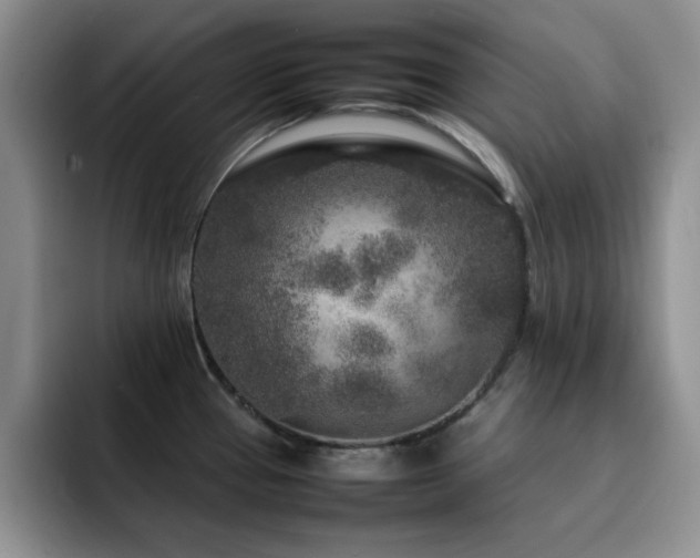X0000092211337200709141019