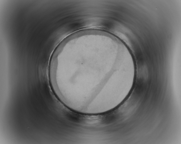 X0000092211338200709141019