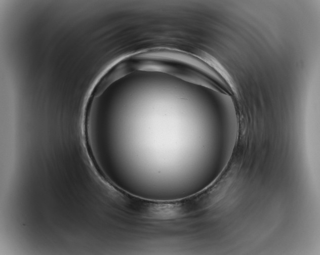 X0000092211339200709141019