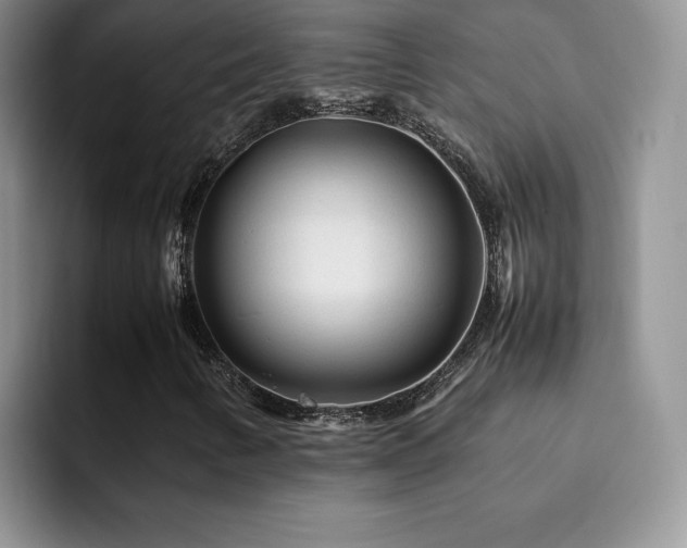 X0000092211346200709141019