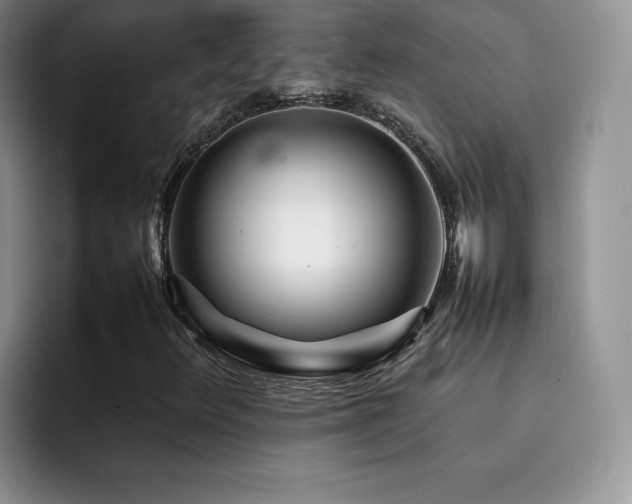 X0000092211348200709141019