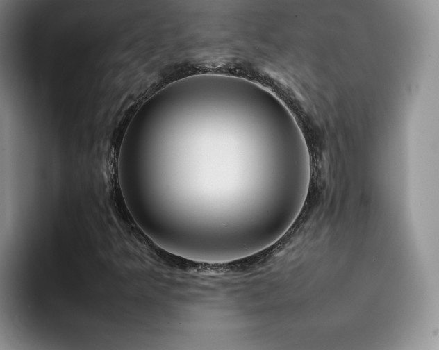 X0000092211349200709141019