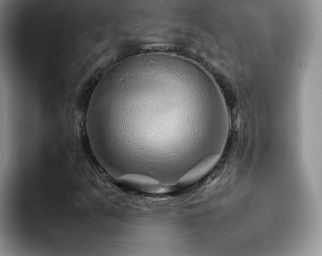 X0000092211351200709141019