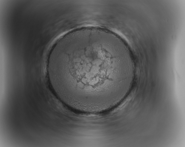 X0000092211359200709141018