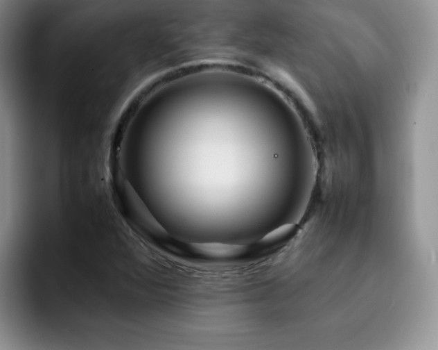 X0000092211360200709141018