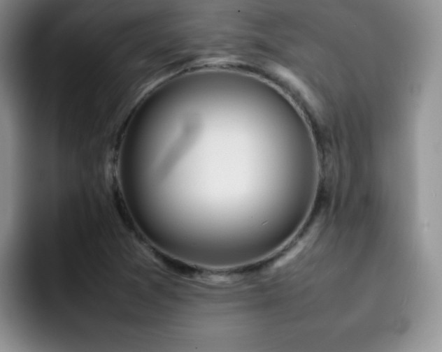 X0000092211361200709141018