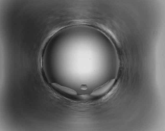 X0000092211365200709141018