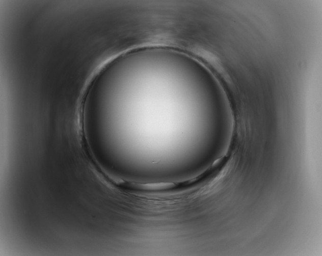 X0000092211366200709141018