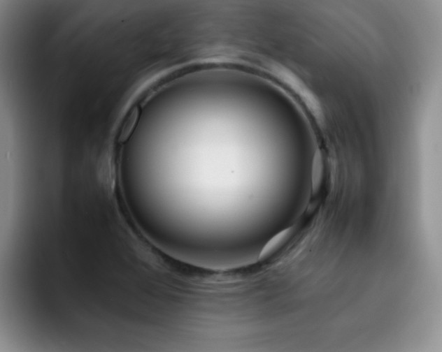 X0000092211368200709141018