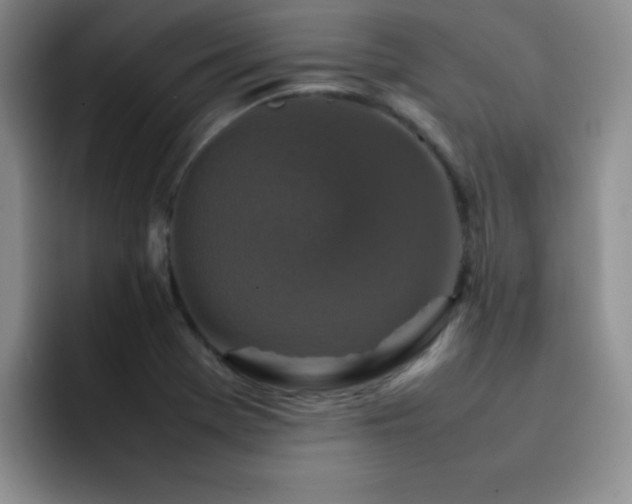 X0000092211369200709141018