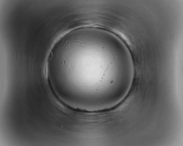 X0000092211371200709141018
