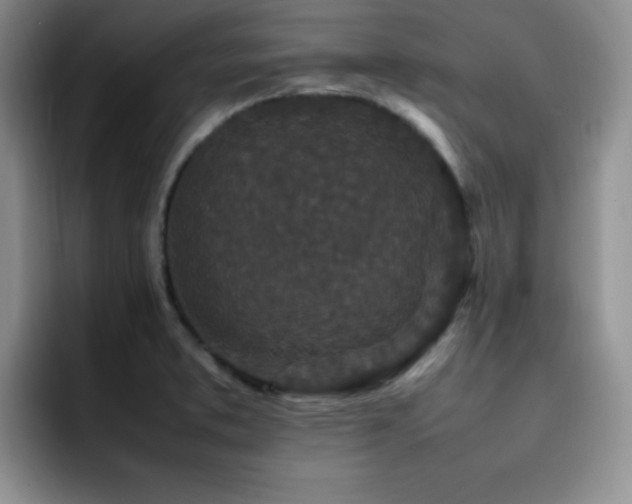 X0000092211373200709141018