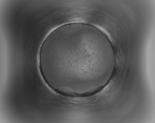 X0000092211383200709141018
