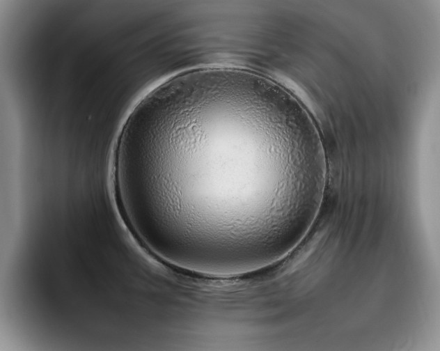 X0000092211387200709141018