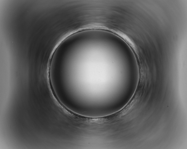 X0000092211390200709141018